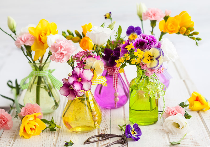 https://groveparkflorist.info/blog/elevate-your-orchid-care-game/