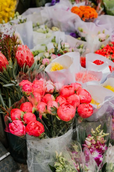 A vibrant floral display featuring a bouquet of fresh, pink peonies with lush green stems, wrapped in clear cellophane. Surrounding the main bouquet are various other floral arrangements, including wh