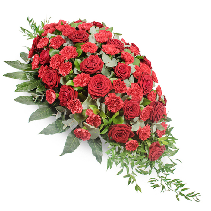 Against a bright white background, a large and carefully structured funeral spray stretches diagonally like a crimson river of flowers, full and rounded at the top left and narrowing with quiet elegance to the lower right. The heart of the design is a dense collection of dark red roses, each bloom fully open, showing off soft, velvety petals that curl outward in harmonious spirals. Between these stately roses, slightly taller and frillier red spray carnations are woven, their brighter crimson and ruffled edges creating a lively, textured surface that catches the eye. The effect is one of depth and richness, as if the arrangement has been built petal by petal with meticulous care. Embracing this sea of red is a surround of mixed foliage. Broad, deep green leaves give the piece its strength and silhouette, emerging just beyond the flowers to define the graceful outline of the teardrop shape. Here and there, rounded eucalyptus leaves in a silvery, muted green peek between the blooms, softening the palette and adding a cool, gentle contrast to the warm reds. At the lower right, fine strands of trailing greenery extend beyond the main body of the spray, lending a sense of gentle motion, like a soft breeze passing through leaves. The even, diffused lighting ensures that the entire arrangement appears serene and composed, without harsh highlights. This kind of casket spray, often seen at farewells in Grove Park, whether for ceremonies near Chiswick Bridge or quiet services close to the river, offers a traditional yet deeply personal way to express sympathy, remembrance, and the lasting bond of family and friendship.