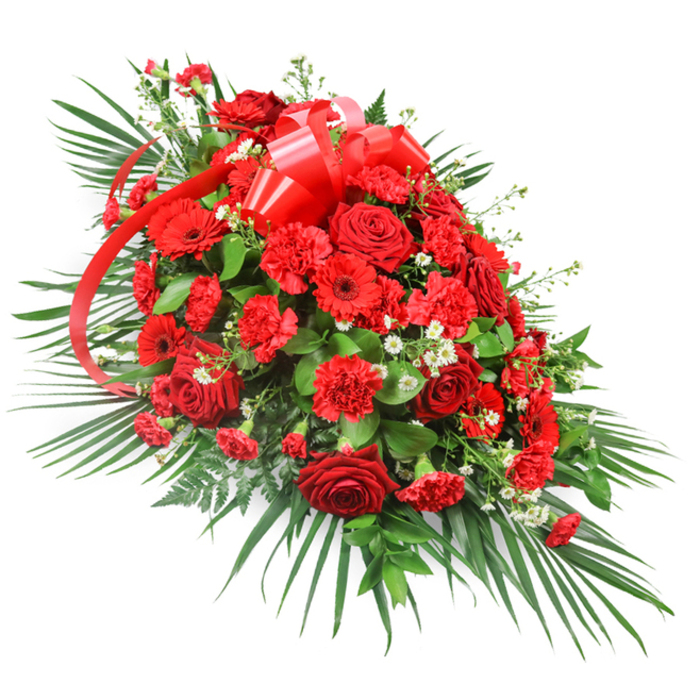 Against a bright, neutral white background, this luxurious red funeral spray stands out as a graceful, elongated tribute, meticulously arranged to offer comfort and honour. The eye is first drawn to the deep red roses that cluster through the centre, each bloom a swirl of velvety petals ranging from tightly furled buds to fully open flowers revealing their rich, layered hearts. Interspersed with the roses are abundant red carnations, whose frilled and multi-petalled forms create a plush, textured surface, making the central portion appear full, soft, and inviting to the touch. Punctuating the design are red gerbera daisies, their wide, flat faces and darker centres adding both a modern line and a cheerful note, like small suns that gently brighten the arrangement without diminishing its solemn tone. Scattered throughout the red blooms, diminutive white filler flowers-similar to baby's breath or fine chrysanthemum clusters-provide tiny bursts of light, introducing gentle contrast and helping to define the contours of the spray. The arrangement is composed as a one-sided, tapered design, broad and abundant through the middle and narrowing elegantly towards the ends, ideal for placing on a casket, at the head of a service, or beside a photograph in memorial gatherings across Grove Park and nearby riverside areas. A lush framework of foliage shapes the piece: long, arching palm fronds fan outwards from the base and along the sides, giving a sense of movement and length, while darker green leaves, likely salal or ruscus, nestle below the flowers to create a dense, supportive bed. Near the top-centre, a generous red satin ribbon forms a multi-looped bow, its glossy surface catching the light and its trailing streamers weaving through the flowers as if gently drawing them together. Echoing tributes arranged by experienced Grove Park florists, this spray conveys profound love, respect, and remembrance with a strong, unified red theme.