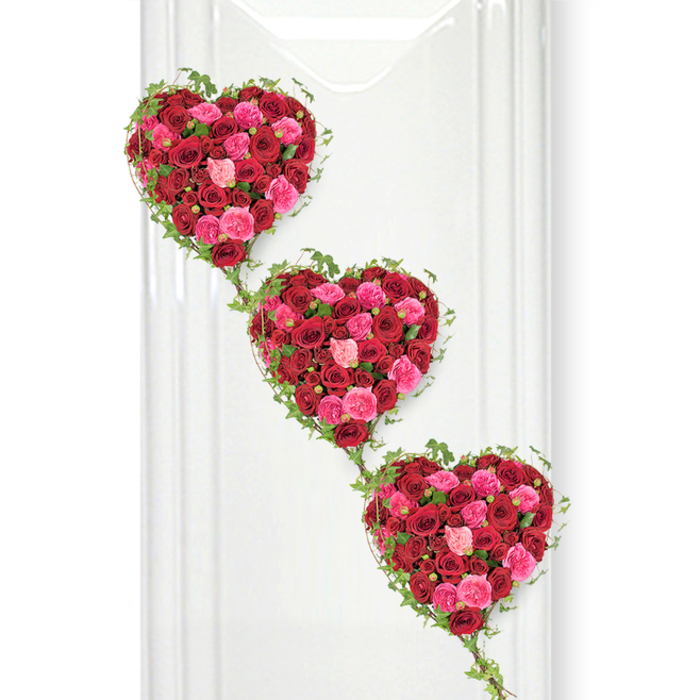 This photograph captures a refined and emotive floral design: three heart-shaped rose tributes aligned in a gentle diagonal cascade, each heart densely filled with red and pink roses that appear almost to glow against a pure white background. The hearts are perfectly defined, their edges softened by the rounded forms of the blooms that nestle snugly together. Deep, velvety reds dominate, evoking passion, devotion, and the gravity of farewell, while interspersed roses in vibrant fuchsia, classic rose pink, and pale blush tones introduce layers of tenderness and compassion. Some blossoms are fully open, their spiralled centres and ruffled outer petals clearly visible, while others remain partially closed, giving a sense of natural variation that would be instantly recognised by an experienced florist in Grove Park. Around each heart, fine ivy stems wrap and loop, their small, slightly pointed leaves hugging the contours and then stretching downward to weave from one heart to the next. These trails of greenery add a living energy and a feeling of continuity, mirroring the way memories and family connections wind through the streets of Grove Park, from quiet cul-de-sacs to the green spaces that edge the Thames. The white background, probably a smooth panel or display wall, reflects soft, neutral light that enhances the depth of colour in the roses and casts the gentlest of shadows, giving the hearts a three-dimensional presence. The overall composition is calm, symmetrical, and carefully balanced, evoking a mix of romance and reverence. It would be a fitting choice as a funeral tribute heart or a memorial display in a church or crematorium near Grove Park, offering a rich, floral expression of love, gratitude, and the wish that the departed is surrounded by beauty on their final journey.