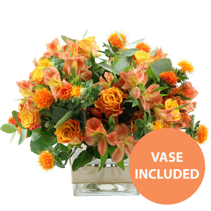 A vibrant arrangement in a palette of orange, yellow, and peach is displayed front and centre on a pure white background, the flowers radiating warmth much like an early evening sky over Grove Park. Dominating the centre of the bouquet are several perfectly formed orange roses, their petals rich and saturated, with some blooms showing a subtle shift to warm yellow in the inner layers that adds depth and gentle luminosity. Nestled between these statement flowers are bright yellow garden roses, their tightly furled petals building into rounded, almost domed blooms that lend the piece a reassuring fullness. Interwoven among the roses, stems of alstroemeria-also known as Peruvian lilies-in soft peach and light orange tones add a graceful, airy quality; their slender petals curl slightly and are marked with fine stripes and tiny speckles in darker orange or russet shades, introducing subtle pattern and detail. Scattered throughout the arrangement, numerous small, globe-shaped orange accent flowers with distinct spiky textures, reminiscent of safflower or ornamental thistle, punctuate the design with vivid bursts of colour and tactile contrast. Surrounding all of this is a lush frame of greenery, including broad, silvery eucalyptus leaves and deeper emerald foliage, which provide structure, depth, and a cool-toned contrast that makes the warm hues stand out. The flowers are gathered into a clear square glass vase, its transparent sides revealing the straight lines of the stems and clear water inside, signalling freshness and careful craftsmanship you might expect from a local Grove Park florist. Around the midsection of the vase, a wide band of natural beige burlap or jute ribbon is wrapped neatly, adding a rustic, handcrafted note that would fit beautifully in a relaxed Grove Park kitchen or a cosy sitting room near the Thames. In the bottom right corner of the image, a bold, circular orange graphic with white block lettering reads VASE INCLUDED, clearly indicating the container forms part of the gift. The overall scene conveys a cheerful, celebratory bouquet, ready for same-day delivery to brighten birthdays, anniversaries, or simple everyday moments around Grove Park and surrounding neighbourhoods.