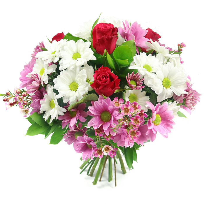 A beautifully composed, hand-tied bouquet appears centred against a pure white backdrop, every blossom sharp and distinct as if freshly arranged in a Grove Park florist's studio. The design is rounded and full, with several deep red roses forming the visual anchor. Their petals are tightly furled and velvety, the classic symbol of love and admiration, drawing focus to the heart of the bouquet. Surrounding these are abundant white daisy-like chrysanthemums, their petals clean and crisp, encircling bright lime-green eyes that give the arrangement a distinctly modern, uplifting look. Woven seamlessly among the whites are pink daisy chrysanthemums ranging from delicate pastel to stronger mid-pink tones, each with the same vivid green centres that tie the palette together. Interspersed throughout, especially towards the outer edges, are airy sprays of small pale pink waxflower-type blooms, each flower tiny and star-shaped, clustering to create soft clouds of texture and depth. Lush green foliage, including broad, dark leaves and lighter green highlights, forms a supportive base, framing the colours and adding natural structure. The exposed stems at the base are neatly aligned and tightly bound, suggesting a professional hand-tied piece ready for delivery across Grove Park, whether to a quiet residential street off Grove Park Road or an office near Chiswick High Road. The bouquet radiates warmth and joy without being overly formal, making it ideal for anniversaries, Mother's Day, congratulations, or simply as a bright centrepiece on a kitchen table, where its mix of red, white, pink, and fresh green brings everyday spaces gently to life.