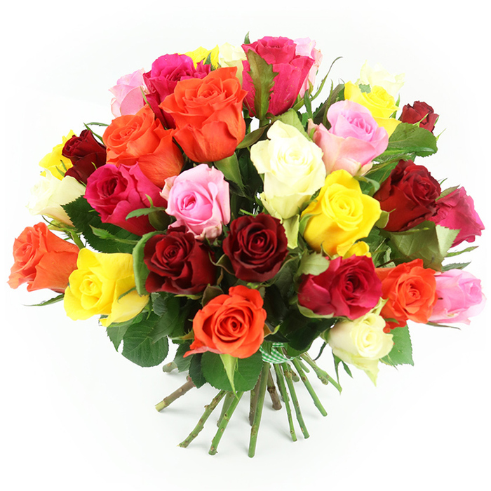 A generously sized bouquet of around thirty to forty roses is displayed against a clean white backdrop, the simplicity of the background making the colours of the blooms look almost jewel-like. The roses are tightly clustered into a rounded dome, creating a sense of fullness and abundance, as if the bouquet has been composed to give the feeling of armfuls of flowers in one compact design. Shades range from deep crimson and wine red to bright fuchsia, coral and tangerine orange, with pockets of brilliant yellow providing lively, cheerful highlights. Interspersed among these stronger tones are softer pastel pinks and smooth cream or ivory roses, which bring calm and balance to the arrangement. Looking closely, you can sense the layered texture of each flower: outer petals gently curling back, inner petals still forming a neat spiral, and occasional tight buds adding structure. Dark, healthy green leaves appear in narrow slivers between the blooms, creating depth and enhancing the vibrancy of the colours, much like the contrast between blossom and foliage in the parks near Grove Park and Dukes Meadows. Beneath the cluster of petals, a fan of straight green stems is gathered neatly and cinched with a green and white gingham ribbon, suggesting a hand-tied bouquet ready to be placed in a favourite vase or carried to a celebration in a nearby Chiswick home. The lighting is bright and even, making every colour feel honest and true, and underlining the feeling of freshly cut flowers. This image conveys a sense of thoughtful generosity and everyday luxury, ideal for marking life's special moments in and around Grove Park.
