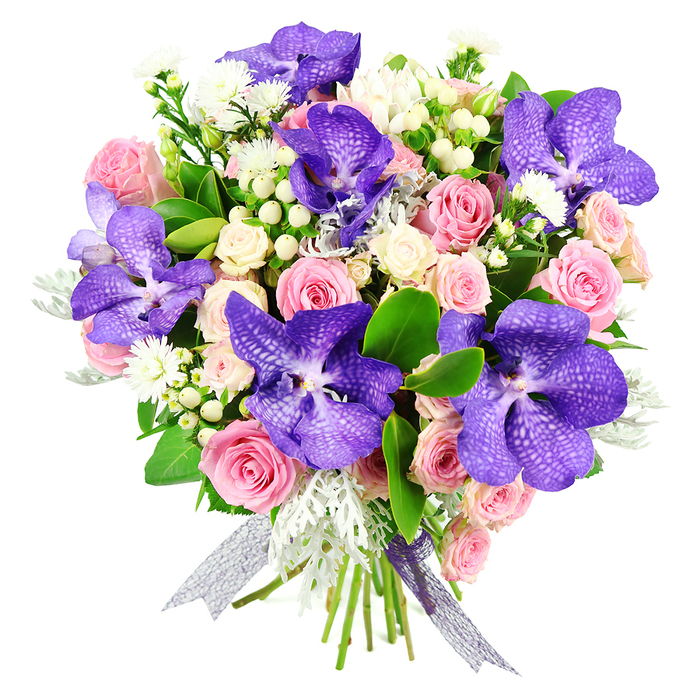 Set against a clean white background that offers no distraction, this lush bouquet presents a harmonious blend of colour, form, and texture crafted with professional care. The most eye-catching element is the collection of Vanda orchids, whose large, rounded petals are saturated in shades of deep purple and indigo, each one patterned with tiny speckles and veins that give the flowers a rich, almost exotic tapestry-like appearance. These orchids are cleverly spaced through the arrangement so that the gaze moves naturally between them, resting next on the soft pink roses that provide the bouquet's romantic core. The roses appear at various stages of opening, from compact buds to fully unfurled blossoms, their layered, velvety petals evoking softness and gentle movement. Interspersed amongst them are creamy white spray roses, their smaller blooms clustering in groups that add volume, texture, and a touch of lightness. Delicate white filler flowers peek through the composition, along with clusters of white or cream hypericum berries whose rounded, waxy surfaces create a pleasing contrast to the softness of the petals. A combination of rich, glossy green leaves and feathery, silvery dusty miller forms the foliage framework: the deep green grounds the bouquet, while the cool-toned dusty miller brings a subtly frosted, tactile edge. The stems are neatly bound at the base with a semi-sheer ribbon in a silver-purple hue that glimmers slightly, tying together the colour palette and adding a final touch of elegance. This bouquet exudes refined celebration and would be perfectly at home as a centrepiece in a Grove Park living room overlooking the Thames or delivered as a special gift to a house near Strand-on-the-Green, expressing affection, pride, and thoughtful care.
