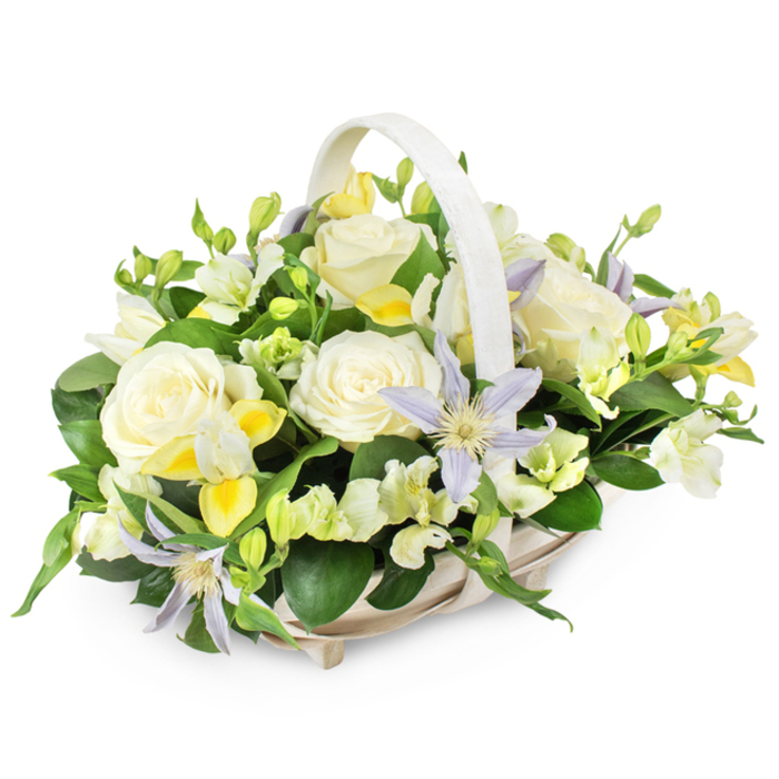 In this softly lit product photograph, an elegant funeral flower basket is centred against a pure white background, allowing the delicate interplay of colour and texture to take focus. The basket is woven from light-coloured material, in tones of beige or pale cream, and features a tidy, matching handle that rises gracefully over the arrangement like a protective arch. Within the basket sits a rounded composition of carefully chosen flowers, reminiscent of the gentle, residential character of Grove Park and the quiet elegance of nearby Strand on the Green. Large, creamy white roses are the main focal point, each one fully open, with velvety petals layered in a classic spiral, expressing purity, love, and a sense of peaceful farewell. Nestled around these roses are exquisite clematis blooms, instantly recognisable by their star-shaped petals in soft lavender and periwinkle hues, with vivid yellow-green centres that offer a subtle touch of colour and life. Light clusters of white and pale yellow freesia-like flowers, some still budding, weave between the larger flowers, adding a hint of scent and gentle texture, like the first blossoms of spring along the Thames Path. The entire arrangement is enveloped in abundant dark green foliage, with glossy, broad leaves and smaller sprigs that lend depth, anchor the pastel tones, and create a natural, garden-inspired feel. The composition feels calm and carefully considered, ideal for a sympathy gesture delivered to a family home in Grove Park, a memorial service in Chiswick, or a quiet reflection corner. It conveys compassion and respect without being overwhelming, a tasteful and comforting tribute crafted with the eye of an experienced local florist.