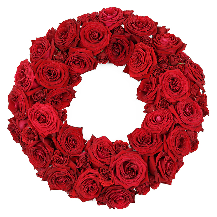A circular wreath of deep red roses, meticulously crafted and presented against a stark white background, speaks with restraint and grave beauty. The arrangement is densely packed, dozens of blooms in varying degrees of openness, large heads with velvety petals alternating with smaller, budding roses to form a sumptuous ring. The surface is plush and tactile, with petals curling inward in gentle spirals that create depth through subtle shadow and light. No greens or fillers distract from the core message: luxury, ceremony, and remembrance. The ruby-red hues remain uniform yet alive, catching soft reflections that reveal the roses' freshness and care. This is a classic design for memorials, tributes, or solemn occasions, capable of lending quiet dignity to a church altar, funeral home, or ceremonial space. In Grove Park and nearby communities, we regularly prepare such wreaths with meticulous attention to order, balance, and longevity, ensuring on-time delivery to meet ceremonies that demand reverence. Available for same-day delivery across Grove Park, the arrangement comes freshly arranged, with the fragrance of a sunlit rose garden lingering in the room and a confident, respectful presence that honours memory.