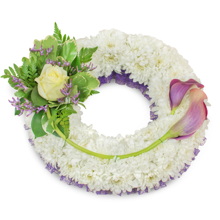 An elegant circular memorial wreath, densely packed with countless white chrysanthemums whose tiny, ruffled florets combine to form a soft, cloud-like surface evoking calm and purity. Underneath the white surface a subtle layer of deep purple lace or netting peeks through along the inner curve, adding understated depth and a refined contrast that lifts the composition. On the upper-left quarter a shaped cluster provides a focal accent: a single cream or pale yellow rose sits at the heart, its petals unfolding with a gentle, matte glow. Surrounding the rose, varied greenery - broad variegated leaves with lighter rims and delicate, airy fern fronds - creates a natural, textural nest, while slender sprays of lavender-hued statice are scattered through the foliage to echo the hidden purple underlayer. To the right side, between about two and five o'clock, two graceful calla lilies sweep across the wreath, their trumpet-like forms showing a soft ombré from richer purple tones at the edges toward warmer peach-pink or blush nearer the base; their smooth green stems trace a curving line along the lower-right arc, visually joining the two floral groups. A single longer green stem rises from the left cluster and crosses the lower section, neatly secured and pointing toward the lilies' base, unifying the design. Photographed on a clean white background that highlights each texture and hue, this wreath reads as a thoughtfully made sympathy tribute - appropriate for a Grove Park funeral, a remembrance event near Chinbrook Meadows, or a respectful delivery to a local family home.