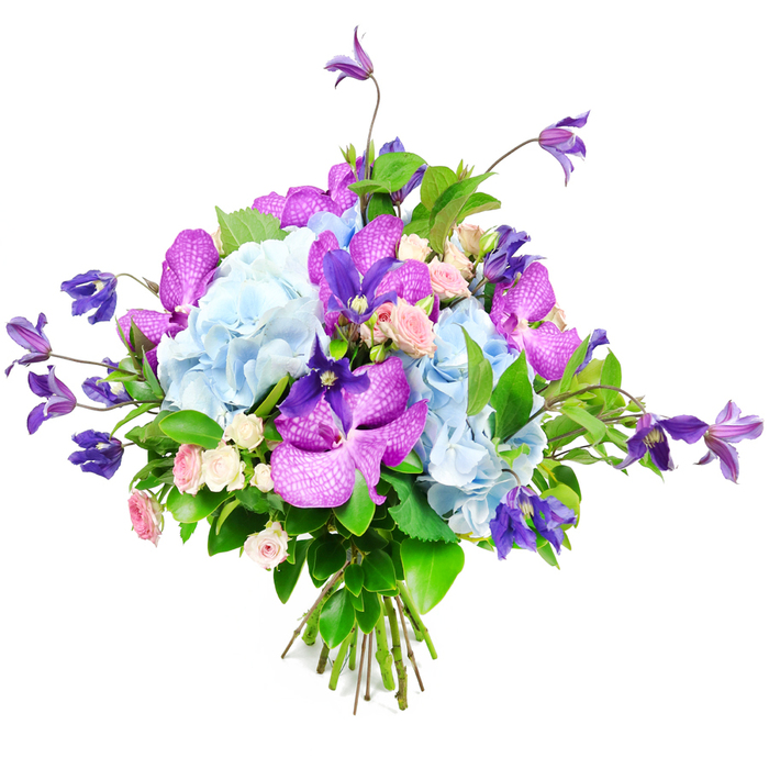 This elegant bouquet, set against a stark white background, appears as if it has just been lifted from a Grove Park Florist display, ready to be carried out for a special delivery. At the centre, generous clusters of soft sky-blue hydrangeas form a plush, rounded core, each bloom built from a multitude of tiny petals that overlap in delicate waves, creating a tranquil, cloud-like impression that mirrors the calm skies often seen over Grove Park and the Thames. Intertwined with these hydrangeas are captivating orchids in shades of fuchsia and deep violet, reminiscent of Vanda or Phalaenopsis blossoms, whose wide, velvety petals feature intricate speckles and fine veining that lend an air of exotic refinement. These bold orchid faces draw attention and offer a striking contrast against the quieter blues. Emerging from between the main flowers, slender stems of rich purple clematis stretch upward and outward, their star or small bell-shaped blooms providing height, fluid movement, and a hint of wild garden character, like climbers draping over a pergola near Chiswick High Road. Nestled throughout the bouquet, miniature roses in soft pink and creamy white unfold in tight little rosettes, bringing a note of classic romance and gentle sweetness to the arrangement. A generous frame of lush green foliage surrounds and supports the flowers, the broad, glossy leaves and delicate stems adding both structure and visual depth while highlighting the vibrancy of the cool and warm tones. The stems at the base are precisely aligned and tied, a testament to careful, practiced hands. Illuminated by soft, diffused light, the bouquet radiates sophistication, warmth, and a sense of occasion, making it a fitting choice for celebratory dinners, heartfelt congratulations, or comforting get-well wishes delivered across Grove Park and neighbouring areas.