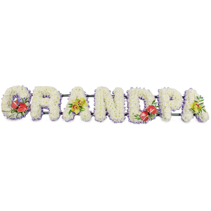 In this photograph, a bespoke sympathy flower arrangement spells out GRANDPA in large, upright capitals, arranged horizontally as a single, continuous tribute. Every letter is densely packed with pristine white chrysanthemum blooms, their rounded petals overlapping to create a soft, padded effect that feels both comforting and pure. The way the flowers are placed leaves no gaps, giving each letter a clean, defined silhouette against the stark white background. Along the base of the letters, a subtle edging of pale purple or lavender ribbon adds a gentle glow of colour, just enough to outline the design and bring a sense of carefully considered detail. The letters are supported on dark green metal bars, discreetly visible from certain angles, ensuring the tribute remains straight and stable during a funeral procession or while displayed at the front of a service venue. Four artfully arranged accent sprays introduce contrast and emotional depth. The 'G' on the far left and the 'D' slightly right of centre are adorned with clusters of striking red anthuriums, their waxy, heart-shaped petals and upright yellow spadices framed by glossy green foliage and delicate specks of purple, drawing the eye and symbolising strong, enduring love. The first 'A' and the final 'A' on the right carry sprays of yellow-green orchids, their delicate, open blooms and slender stems draping gracefully over the white chrysanthemum base, evoking fond memories and lasting affection. This is the sort of personalised Grandpa tribute a family in Grove Park might choose to send to a local crematorium or church, reflecting the calm, leafy character of the area. The overall arrangement feels serene, respectful, and thoughtfully designed, a floral testament to a grandfather's presence in the lives of those who mourn him.