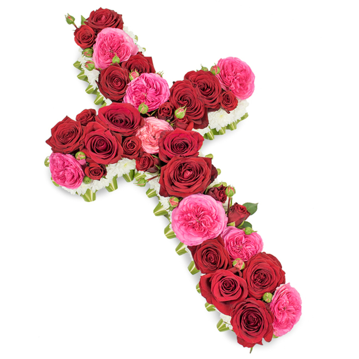 A beautifully detailed flower cross intended as a sympathy tribute is displayed on a bright white background, making every petal and contour stand out clearly. The cross itself is completely covered in fully bloomed deep crimson red roses, each one dense with velvety petals that curl gently outwards, creating a soft yet opulent texture along the length and width of the form. Nestled among these are vivid fuchsia pink roses and garden-style blooms, whose slightly frilled petals and lighter pink tones bring a gentle luminosity to the overall design, easing the intensity of the darker reds. Here and there, smaller rosebuds in red and pink emerge between the larger blossoms, contributing to the sense of fullness and evoking the idea of memories continuing to open and unfold. The edges of the cross are carefully defined by a continuous border of tiny white flowers-likely spray chrysanthemums or delicate carnations-that form a neat, cloudlike frame, enhancing the Christian cross silhouette and symbolising innocence and peace. Hints of glossy green foliage and perhaps fine ribbon work peek from beneath the dense blanket of roses, providing quiet structural support and a whisper of contrasting colour. The gentle, even lighting over the piece mirrors the soft calm you might experience walking through Grove Park towards the riverside, illuminating the rich reds, bright pinks, and clear whites without harsh shadows. Created with the sensitivity expected for funeral and memorial services in and around Grove Park, this floral cross offers a graceful, faith-filled way to express condolences, honour a cherished life, and bring a touch of beauty and comfort to a moment of farewell.