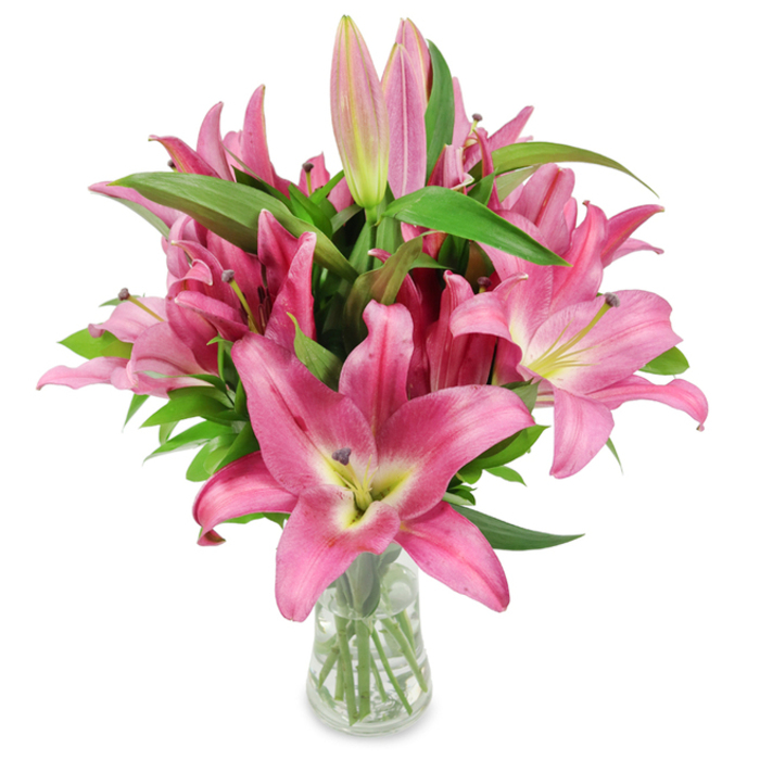 A studio-style image of a lavish gathering of freshly cut pink lilies, set in a clear glass vase on a spotless white backdrop so every botanical detail receives attention. The arrangement brims with large, six-petalled blossoms whose outer edges glow with intense magenta and fuchsia while inner curves soften to pale creamy hues near the throat; the throat itself shows a fresh chartreuse-yellow wash that brightens the composition. Several flowers reveal their intricate reproductive centres - slender filaments topped with bold, dark burgundy anthers loaded with pollen - which introduce a sculptural, slightly rustic texture against the silky petals. Sprays of buds at varying stages of opening, from tightly furled pale ovals to half-open deep-pink forms with green tips, animate the bouquet with a sense of unfolding time. Deep, glossy lance-shaped foliage surrounds the blooms, and the clear vase exposes neatly trimmed stems and clean water, a quiet testament to careful prep and florist craft. The soft, directional studio light catches the petal sheen and suggests a gentle, floral perfume that would lift a small flat in Lee Green or warm a table near Elmstead Woods. This composition reads as a premium cut-flower gift-suitable for Mother's Day, a birthday, a sympathetic tribute, or simply to bring refined colour into a home-capturing freshness, structure, and the tactile beauty of premium lilies.