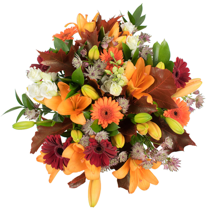 Seen from above against a clean white backdrop, this full, hand-tied autumn bouquet reads like a walk through a local hedgerow in late October. Several bold orange Asiatic lilies sit prominently, their wide, trumpet-shaped petals opened to reveal velvety throats, while many still-closed buds in pale orange and green promise unfolding life. Orange and burgundy Gerbera daisies alternate across the sphere of blooms, their circular, radiating petals offering joyful punctuation next to soft clusters of ivory lisianthus or mini roses with ruffled, paper-thin petals. Dusty purple Astrantia filler flowers add a finely textured, almost celestial lace between the stronger shapes, and lively green foliage gives the arrangement a fresh scaffolding. A few large, deeply lobed leaves in chestnut and reddish-brown are artfully tucked in to evoke fallen oak leaves, heightening the seasonal mood and recalling local walks through Grove Park and Chinbrook Meadows. Bright studio lighting renders every surface and colour with clarity, emphasising the lush density and the florist's careful placement. As a florist at Grove Park Florist, I'd recommend this bouquet for autumn celebrations, a warm housewarming gift, or as a Thanksgiving-style centrepiece; it carries gentle floral scents with green, earthy undertones and is designed for local delivery across SE12 with an emphasis on freshness and textural harmony.