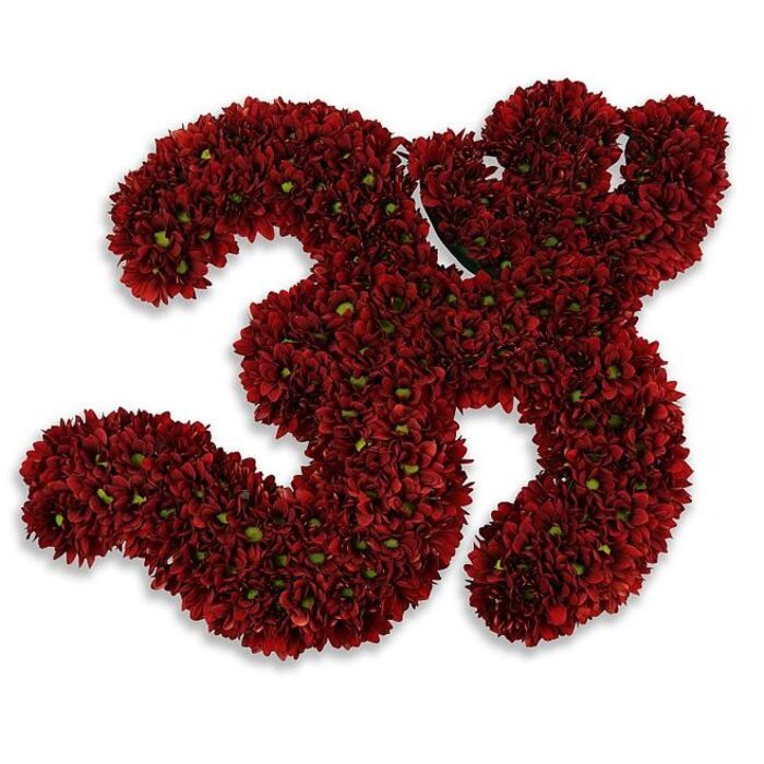 A meticulously assembled floral numeral: the number '33' rendered entirely from hundreds of small, deep burgundy button chrysanthemums that form a plush, velvety surface across both digits. Each tiny bloom is nestled tightly against its neighbour so the overall shape reads as a single sculpted object rather than a loose spray; the many petals catch light and reveal subtle tonal shifts from crimson to near-maroon, while occasional bright green flower centres or minuscule leaf accents provide a fresh, living counterpoint within the mass. The composition sits on a crisp white background, the pure field emphasizing the richness of colour and lending a clean, modern contrast. A soft gray shadow beneath the numbers suggests a slight lift, as if the piece were set upon a low plinth in a studio or on a reception table at a Grove Park hall-the shadow gives depth and invites the viewer around the curves of each '3'. This floral number reads as versatile: celebratory for a 33rd birthday or anniversary, emblematic for a sporting jersey or commemorative event, or poignant when used as a memorial marker. As a local florist familiar with deliveries along Marvels Lane and the lanes around Grove Park Nature Reserve, I note the careful craftsmanship-consistent bloom density, refined edge definition, and an overall sense of ceremonial presence. There is an implied softness to the arrangement, a faint earthy, late-summer chrysanthemum scent, and an elegance that makes the numeral feel both personal and stately.