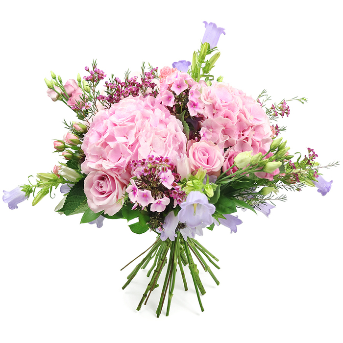 Against a bright white background, this hand-tied bouquet glows with a soft, romantic palette of pink, lavender, and fresh green, reminiscent of a calm afternoon stroll through the leafy corners of Grove Park. Two large, rounded clusters of blush pink hydrangea provide the main focal points, their densely packed, ruffled petals forming plush, cloud-like spheres that give the arrangement a generous, abundant feel. Threaded between them are several light pink roses in varying stages of bloom: some are wide open, showing off their classic spiralled hearts and many layered petals, while others remain as graceful, compact buds, suggesting a story of love still unfolding. Tall, slender stems of bell-shaped flowers in pastel lavender and gentle lilac weave in and out of the bouquet, likely campanula or similar bellflowers, adding a slightly whimsical, airy touch as their delicate cups seem to hover above the larger blooms. Deeper splashes of colour are introduced through clusters of small fuchsia and dark pink filler flowers, which could be waxflower or phlox-like blossoms, placed thoughtfully to create texture, depth, and a sense of movement, much like the varied planting in local gardens near the river. Fresh green foliage surrounds and supports the flowers, with different leaf shapes and a few unopened buds lending a natural, just-gathered feeling that speaks of freshness and care. At the lower edge of the image, the neatly aligned stems are visible, bound together in a tidy hand-tied finish that highlights the florist's craftsmanship. The overall impression is one of joyful elegance and gentle warmth, perfectly suited to birthdays, thank-you gestures, Mother's Day surprises, or simply bringing a romantic, garden-inspired touch into a Grove Park home.