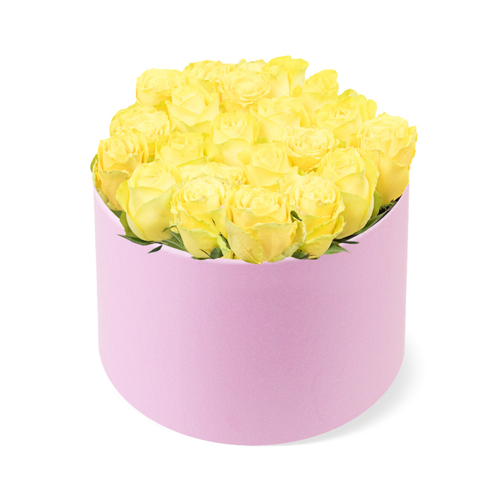 An elegant cylindrical hatbox filled with yellow roses is presented against an immaculate white background, the simplicity of the scene drawing your attention to the artistry of the arrangement. The box itself is a soft pastel pink, with a smooth, matte surface that suggests a velvety or suede-like feel, giving it a luxurious, gift-ready look. Resting upright, the hatbox supports a generously full dome of fresh yellow roses that rises just above the rim, as though the blooms are gently spilling out. Around two dozen roses are arranged so closely together that their velvety petals almost touch, creating a plush, cushion-like effect. Each blossom displays a classic rose form, with spirals of petals that shift in tone from creamy, buttery centres to brighter, sunlit yellow tips, lending the bouquet an impression of movement and depth. Small traces of green foliage are visible between the blooms, barely peeking through but adding a soft, natural contrast. The lighting is even and diffused, eliminating harsh shadows and allowing the true colours of the roses and the blush box to stand out crisply, as if the arrangement were waiting on a pristine counter in a Grove Park flower shop after being prepared for local delivery. The pairing of vivid yellow and gentle pink suggests feelings of joy, warmth, and affection, making this design a fitting choice for congratulating someone on a new home near Grove Park, celebrating a birthday in Chiswick, or simply sending a bright, friendly gesture to a loved one living along the tree-lined avenues that lead down to the river.