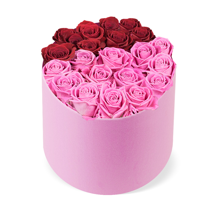 An opulent rose box sits as a sculptural centerpiece, presented in a soft, blush pink D-shaped container that curves gracefully at the front and sits solidly at the back. The top is opened to reveal a dense mosaic of rose heads, tightly packed to form a seamless surface of colour. The arrangement is neatly divided into two striking blocks: toward the rear, roughly a dozen deep crimson roses create a rich, romantic crest; toward the front, a larger cluster of vivid fuchsia pink roses adds luminosity and energy. Each bloom is perfectly bloomed, their petals layered in tight spirals with no visible foliage, allowing the colours to take center stage. The image is captured from a slightly elevated angle against a clean white backdrop, emphasizing the box's silhouette and the depth of colour. This high-end gift is ideal for Valentine's Day, anniversaries, birthdays, or Mother's Day, offering a statement of refined taste.

Delivered with the care and reliability local florists are known for, this rose box suits modern living rooms and elegant entrances alike, and is available for delivery across Grove Park and nearby streets for same-day service. It stands as a tribute to craftsmanship, a luxurious yet approachable expression of affection.