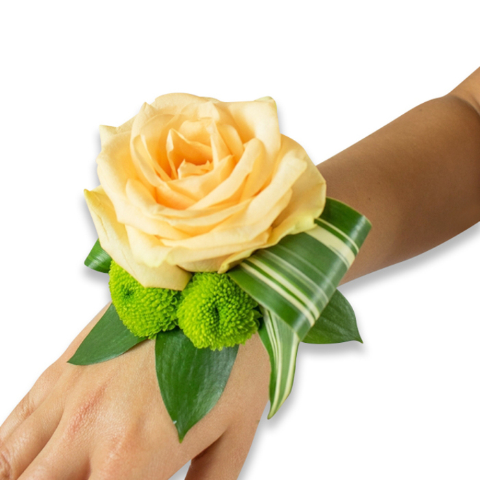 Displayed along the inner forearm with a bright white background, this wrist corsage is an elegant small-scale arrangement that feels at once classic and locally familiar. A single, fully bloomed rose in a soft peach or light apricot tone serves as the focal point, its petals layered in a gentle spiral that conveys warmth and quiet refinement. Immediately below the rose sit two vivid lime-green button chrysanthemums - compact pom-poms whose dense, spiky florets bring a lively, almost playful texture against the rose's smooth velvety surface. Surrounding the flowers, several broad, dark green leaves-resembling salal or ruscus-create a lush base and extend outward to give the piece structure, while a long, variegated Ti-style leaf with pale horizontal stripes is neatly folded and curled to trace a graceful arc from the blossom toward the wrist's edge. The fastening band is hidden beneath the foliage so the arrangement appears to rest naturally on skin. Crafted with the attentive hand of a neighbourhood florist in Grove Park, this corsage would suit a bride arriving from Grove Park station, a prom guest taking photos by the Nature Reserve, or anyone marking an intimate celebration on the High Street; its soft scent, varied textures and harmonious colourway make it a refined accessory for moments you want to remember. The piece captures both the craftsmanship of local floral design and the quiet joy of wearing flowers close to the heart.