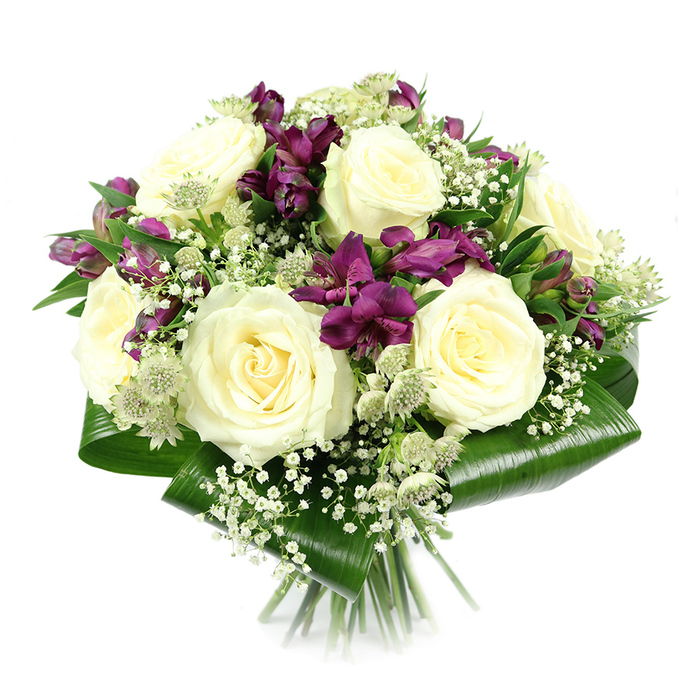In this image, a luxurious hand-tied bouquet is showcased against a pure white background, allowing its structured, dome-like silhouette and rich colour contrasts to stand out. The central focus is a cluster of large, creamy white roses, each fully open and displaying a perfect spiral of satiny petals that seem to cradle a soft glow. These roses exude a sense of timeless elegance, like a classic gift brought to a riverside gathering in Grove Park or a home near Chiswick House. Woven among them are clusters of deep purple and magenta alstroemeria, whose trumpet-shaped blooms and delicate streaking add both depth of colour and a contemporary twist. Some alstroemeria heads are still in bud, promising further bloom over time, while others are opened wide, revealing the intricate patterns that give them character. Light, airy sprigs of white gypsophila course through the arrangement, their masses of tiny blossoms creating a veil-like softness that blurs edges and connects the different elements. Scattered between these, pale green-white astrantia blooms stand out with their distinctive star-shaped bracts and central clusters, bringing a touch of natural, almost woodland texture to the design. The bouquet is framed at its base by broad aspidistra leaves, folded and wrapped into a smooth, dark green collar whose glossy surfaces catch the light and provide a strong visual anchor. Below, the stems are trimmed evenly and tied neatly, disappearing into the bright background. The finished effect is polished yet gentle, ideal for expressing sympathy, marking an anniversary, or simply sending a thoughtful, elegant surprise to someone in the Grove Park area, crafted with care by Grove Park Florist.