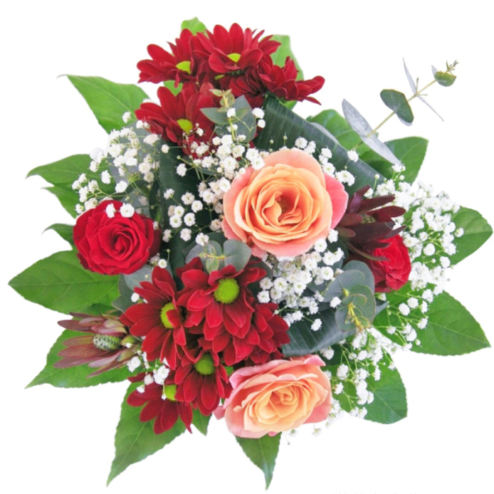 Unfolding like a romantic narrative, this lavish bouquet has been carefully arranged by Grove Park Florist to capture both the rich heritage and vibrant greenery of the Grove Park area. Deep, velvety chrysanthemums and crimson roses are the stars, their drama softened and enhanced by the creamy warmth of apricot and salmon-hued roses. Between the larger blooms, puffs of white gypsophila are artfully studied-like pearls gracing silk-creating grace and dynamic movement that give the arrangement an ethereal lightness. Broad arcs of glossy, emerald leaves curve around the base, reflective of the lush parks and leafy avenues leading toward Chiswick House. The stems, standing tall in a sparkling clear vase, remind one of the enduring freshness and quality local to Grove Park. Each flower and leaf reveals a careful balance of touchable texture: silky petals, strong leafy greens, and feathery gypsophila are skillfully combined for maximum sensory impact. The bouquet as a whole suggests both a loving embrace and refined style-ideal for commemorating new beginnings or expressing deep affection near Strand-on-the-Green. Subtle yet enchanting scents of rose mingle with earthy freshness, transporting you to a tranquil garden after rain. Every detail in this bouquet celebrates the artistry and care of Grove Park Florist, offering a beautiful testament to the area's unique spirit and the timeless art of floristry.