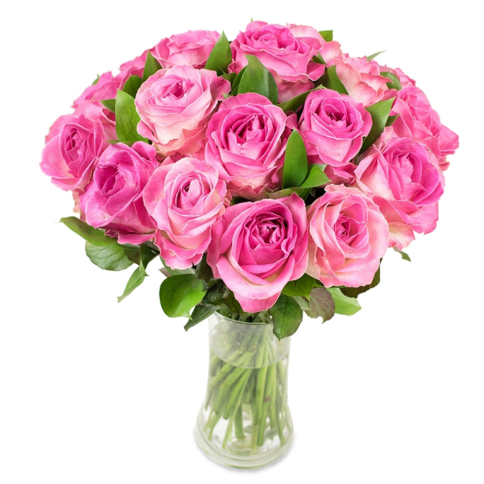 This image shows an elegant cluster of approximately two dozen pink roses arranged in a dense, domed formation and presented in a clear glass vase. Each rose displays a delicate ombré effect-deep, almost magenta tones at the tightly coiled centres graduating outward to blush pink and occasionally creamy white tips-so that the bouquet appears to glow from within. The foliage is a rich, glossy green, strategically interspersed to support the blooms and provide visual contrast against the pristine white photographic backdrop. The vase is transparent and gently curved, allowing a clear view of the trimmed green stems submerged in clean water, a detail that signals fresh handling and precise floral technique. Bright, diffuse lighting isolates the petals' satiny texture and highlights the classic spiral formations at the heart of each bloom, enhancing the arrangement's sculptural quality. There's an implied scent of fresh roses-sweet yet green-that completes the sensory picture. As a florist who serves the Grove Park neighbourhood and nearby communities along Baring Road and around Chinbrook Meadows, I consider this composition ideal for formal gifting occasions such as anniversaries and Mother's Day, or as a refined centrepiece for a wedding rehearsal dinner. It balances traditional romantic symbolism with contemporary restraint, demonstrating both technical skill in flower selection and the quiet, thoughtful presentation local customers expect.