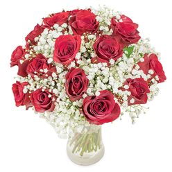 Rich, velvety red roses-about eighteen to twenty in number-form the passionate heart of this classic arrangement, their fully unfurled petals bathing in a luxurious crimson that draws the eye inward. Around them, delicate sprays of white baby's breath (Gypsophila paniculata) gather like mist, their tiny blossoms softening the bouquet's edges and creating a lacy, cloud-like contrast to the roses' dense texture. Presented in a transparent glass vase, the long, fresh green stems are visible through the water, grounding the composition with honest botanical structure and adding a vertical rhythm that balances the round, domed top. Bright, even lighting highlights the subtle sheen on each petal and the fragile geometry of the gypsophila; where sun or lamp catches the curves, there is a gentle glow that suggests early morning or late-afternoon light filtering through a Grove Park window. The scent is suggested more than described: the unmistakable, slightly honeyed perfume of rose mingling with the faint, clean scent of green stems and blossoms. This bouquet feels both intimate and ceremonial-perfect for an anniversary whispered over dinner, a birthday surprise arranged for delivery to a nearby Baring Road address, or a romantic gesture sent after a stroll through the local parks. There is a careful balance of intensity and softness here, a floral embrace that reads as sincere, composed, and quietly exuberant.