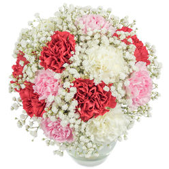 A signature piece by Grove Park's expert florists, this radiant bouquet offers a poetic expression of affection and elegance. Gathered in a simple, rounded glass vase, plush carnations in regal red, gentle pink, and milky white create a beautifully balanced, full-bodied arrangement. Airy clouds of pure white baby's breath float above the carnations, evoking the soft, hopeful feeling of sunrise along the Thames Path. The ruffled textures invite the senses to linger-one might imagine the coolness of the petals, or the subtle, sweet scent that marks freshly cut flowers from local Chiswick markets. The bouquet is photographed from a gentle angle, with bright, even lighting that accentuates the bouquet's vivid hues and health, while the clean background keeps all attention on the composition. Embracing both tradition and a touch of modern simplicity, this arrangement is crafted for Grove Park families wishing to express gratitude or mark a cherished milestone. The thoughtful mingling of colour, texture, and shape celebrates the spirit of the community and the care that Grove Park Florist delivers to every home.