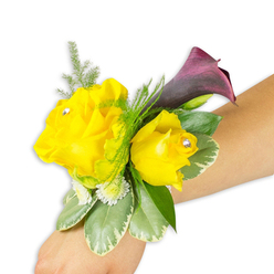Sunlit and sophisticated, this wrist corsage is photographed on a plain white background and presented on a light-to-medium forearm so every floral detail is clear. Two sunny yellow roses form the focal point - one larger and fully open on the left, the other a neater, cup-shaped bloom to its right - each embellished with a tiny clear diamante at the heart that flashes when the wrist moves. Just behind and slightly above the roses a single deep burgundy-to-plum calla lily unfurls, its satin petal curving like a dark crescent that heightens the yellow's brilliance. The floristry is finished with feathery asparagus fern for delicate texture, clusters of minute white filler blooms for soft volume, and broad variegated foliage with pale edges that lend cool, waxy contrast beneath the flowers. A discreet elastic or ribbon band is mostly hidden so the composition reads compact and wearable, placed diagonally from the frame's bottom-left toward the middle-right to illustrate how it sits on the arm. The scent is imagined as fresh and floral - bright citrus-tinged rose notes balanced by the calla's green, almost candle-like depth - and the rhinestones add a whisper of formality without being showy. Assembled in our Grove Park Florist workshop close to Grove Park station, this corsage suits prom, homecoming, or a wedding party picking up flowers near Chinbrook Meadows or Baring Road; it embodies cheerful refinement and neighbourhood-crafted attention to detail.