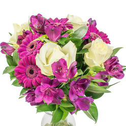 I arranged this composition to balance classic elegance with a friendly, exuberant pop of colour - the result is a bouquet that feels both polished and spontaneous. Large magenta Gerbera daisies provide the visual headline: their densely packed petals unfold from dark, intricate centres and flood the arrangement with an almost fuchsia energy. Complementing them are creamy white roses, their layered petals unfurling in a timeless, romantic spiral that softens the overall effect and offers a tactile contrast to the gerbera's flat faces. Sprays of rich, deep purple Alstroemeria (Peruvian lilies) add an exotic, patterned note; their trumpet-like shapes and speckled markings echo the gerberas' tones while introducing delicate movement and fine detail. The flowers sit tightly gathered in a rounded silhouette, supported by rich green foliage - a mix of broad leaves and slimmer, sword-like greens that sculpt the bouquet and catch morning light to create subtle highlights and shadow. A clear glass vase peeks into view at the base, simple and transparent so the blossoms remain the focus. As a florist working in Grove Park, I imagine this arrangement brightening a table at a small local café near Grove Park station or standing as a thoughtful gift delivered to a home on Downham Way; Grove Park Florist prepares pieces like this for same-day local delivery across Lee and Hither Green when requested. The scent is understated, the visual effect lively and sophisticated - a versatile bouquet that radiates joy, gratitude, and careful craftsmanship.