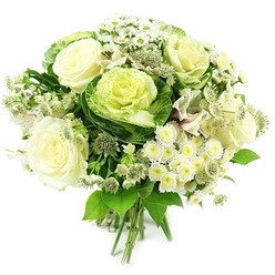 This image shows a refined white and green bouquet, hand-tied and set against a spotless white background so that each bloom and leaf appears crisp, as if bathed in soft morning light drifting over Grove Park. Dominating the centre are large, fully opened ivory roses, their many layered petals gently curling outward to form plush, romantic rosettes with creamy hearts. Between them nestle distinctive ornamental cabbages in pale green, their tightly folded, ruffled leaves arranged in concentric circles, moving from cool chartreuse at the centre to richer greens at the edges, adding a sculptural, on-trend note to the design. Scattered around these focal flowers are clusters of dainty white spray chrysanthemums and small daisy-like blossoms, their fine petals arranged around soft yellow-green centres, contributing a cheerful, gently textured feel that recalls a stroll through nearby parks and leafy streets. Slipping between the larger blooms, slender stems of star-shaped filler flowers, likely astrantia, bring intricate detail; their tiny, pointed petals and patterned centres offer the impression of fine lace threaded through the bouquet. Occasional glimpses of other white petalled flowers, perhaps alstroemeria, add another layer of softness. Encircling the arrangement is an abundance of fresh green foliage, some leaves broad and glossy, others more delicate and feathery, creating a verdant collar that emphasises the crispness of the white flowers. At the bottom, the stems are cleanly aligned and bound, typical of a hand-tied bouquet ready for a clear glass vase on a Grove Park dining table. The overall atmosphere is serene and elegant, ideal for understated weddings, stylish thank-you gifts, or comforting sympathy flowers delivered throughout Grove Park and the neighbouring riverside areas.