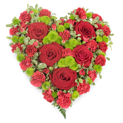 This image captures a beautifully composed heart-shaped flower arrangement, set against a plain white background so that every detail can be clearly appreciated, much like a sympathy tribute prepared in Grove Park and ready for delivery to a nearby chapel. The entire heart is saturated with deep red blooms, creating an immediate sense of intensity and emotion. Large red roses are scattered thoughtfully across the design, their velvety petals layered in tight spirals that gradually loosen toward the edges, symbolising both love and vulnerability. Filling every remaining space, smaller red carnations with finely frilled petals build a plush, quilted texture, lending the heart a soft, cushioned appearance. Threaded through these red tones, bright lime-green button chrysanthemums provide bursts of contrast, their tidy, rounded shapes and intricate florets drawing the eye and keeping the design lively rather than sombre. Around the perimeter and nestled between flowers, variegated foliage, green with creamy margins, helps to define the heart's contours, adding natural depth and soft transitions between blooms. At the lower point of the heart, a few slender fern fronds extend outward in a gentle flourish, giving the arrangement a hint of movement and grace. The overall effect is one of fullness and careful craftsmanship, a tribute that feels both strong and tender. It is easy to imagine this floral heart resting at a memorial in Grove Park, perhaps near the tree-lined streets or close to the river paths, offering a visual expression of enduring love and the quiet support of the community in times of farewell.