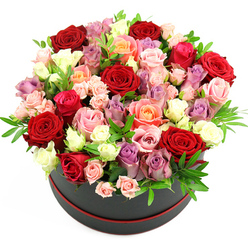 In this photograph, a sumptuous floral hatbox arrangement appears almost like a living sculpture, set cleanly against a bright white background. The container is a sleek, round black hatbox finished with a fine red trim around its base, lending a subtle but unmistakable air of luxury, as if chosen specially for a surprise delivery to a home near Chiswick or the leafy streets surrounding Grove Park. From the box, a dense, domed bouquet of roses emerges, overflowing with colour and texture. Deep crimson roses are the most striking, their velvety petals layered in tight rosettes that speak of passion and enduring love. Woven between them are roses in tender blush pink, vivid fuchsia, and gentle peach and apricot tones, each adding warmth and softness. Creamy white blooms brighten the mix, reflecting the light and giving the arrangement a sense of clarity and freshness. Hints of lavender and pale purple roses glide through the design, adding cool, sophisticated accents that balance the warmer shades. The roses are at varying stages of bloom: some are wide open, revealing intricately ruffled hearts, while others are still partly closed, especially the smaller spray varieties that dot the surface with tiny, rounded buds. Fine sprigs of fresh greenery, perhaps eucalyptus or another slender-leaf foliage, peek between the blossoms, offering flashes of cool green and a subtle sense of movement. The craftsmanship suggests an experienced local florist's hand, with each stem thoughtfully placed to create a harmonious, rounded silhouette. Overall, the image conveys an impression of romance and refinement, an ideal floral gift for anniversaries, romantic celebrations, or meaningful thank-you gestures across the Grove Park area.