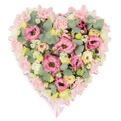 A large heart-shaped funeral tribute rests on a pristine white surface, its careful construction reflecting the sensitive touch of an experienced Grove Park florist. The heart is outlined by a soft, blush-pink satin ribbon that follows each curve with precision, its smooth sheen catching just enough light to subtly frame the flowers within. At the very edge, a collar of pale pink carnations and lisianthus blooms forms a gently ruffled border, the petals layered densely so that the outline feels both defined and tender. Inside this border, the heart is densely packed with pastel flowers, creating a rich, tapestry-like effect. Pink eustoma blossoms in deeper rosy tones open towards the viewer, their ruffles resembling fine silk, while clusters of creamy ivory and buttery yellow spray roses nestle among them, lending quiet brightness and warmth. Tiny white daisy-style flowers, each with a sunny yellow centre, are scattered here and there, introducing a hint of wildflower simplicity that softens the formal shape, like blossoms gathered from gardens and parks around Grove Park. Rounded eucalyptus leaves in soft, silvery green weave between the flowers, mingling with darker green, sometimes variegated foliage, which adds depth and a natural rhythm. The flowers sit closely together, creating a sense of fullness and embrace. The mood is one of gentle support and compassion, ideal for accompanying a funeral service, memorial gathering, or wake in the local area. This heart-shaped arrangement speaks softly yet clearly, offering a floral message of sympathy, remembrance, and enduring affection to families saying goodbye.