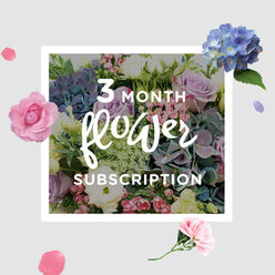 In this image, a beautifully balanced bouquet from a three-month flower subscription rests against a neutral background, as though just arranged by a local Grove Park florist. The composition is anchored by generous blue hydrangeas, their rounded clusters packed with small, softly overlapping petals that give an almost cloud-like fullness. Around these, roses in shades of blush pink, lavender, and muted lilac bloom at different stages of openness, some tightly furled and others wide and welcoming, adding depth and a sense of gentle movement. Slender lisianthus stems weave through the roses and hydrangeas, bearing delicate, frilled flowers and smooth buds that lift the arrangement and keep it from feeling too compact. The foliage is varied and abundant, with fresh green leaves that encircle the blooms and draw the eye outward, reminiscent of the layered greenery found in the gardens around Grove Park Terrace or the leafy avenues leading toward Chiswick. Soft, natural light appears to fall from one side, brightening the pastel petals and picking up the subtle transitions in colour, while creating faint shadows that add dimension without overpowering the arrangement. The bouquet exudes a mood of calm celebration, equally suited for marking a birthday, an anniversary, or simply adding a soothing touch to a kitchen table or windowsill overlooking the railway. You can almost sense the gentle fragrance mingling with the cool air of an early morning delivery, offering a moment of pause as you unwrap the paper, refresh the vase, and let the flowers settle into their new space. The image conveys the rhythm of a subscription that keeps beauty and comfort arriving at the door, month after month, in this quiet corner of West London.