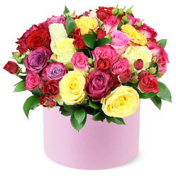 This radiant hatbox arrangement from Grove Park Florist speaks the language of affection and celebration. Bright yellow blooms glow like a morning sun, while sophisticated purples and playful pinks weave through the bouquet, and the heartening reds add a classic touch of romance. Each rose unfurls in ruffled layers, inviting a tender touch as its petals cascade in velvety folds, releasing a delicate fragrance that lingers in the air. Placed in a smooth, pastel pink container, the bouquet gains a modern twist-an elegant nod to contemporary floral artistry. The design is carefully structured yet invitingly soft, a promise of happiness you can hold in your hands. The dark green foliage threads through the arrangement, lending depth and a natural frame to the lush clusters of color. The composition stands against a clean white background, allowing every hue to pop and the form to feel intimate and generous. This piece radiates warmth and joy, a thoughtful birthday surprise, a heartfelt anniversary gift, or a meaningful expression of gratitude. In Grove Park, such arrangements brighten living spaces, hallways, and work desks, often arriving with a handwritten note and a smile. Grove Park Florist offers reliable same-day delivery across the district and surrounding southeast London postcodes, delivering not just flowers but a message of care and devotion.