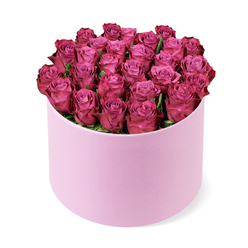 Imagine a gift that speaks softly but commands attention: dozens of tightly packed deep pink or fuchsia roses, their velvet petals curled and curling in a perfect dome. The blooms form a dense, cushion-like crown atop a light pink hat box, the cylindrical vessel clad in a smooth matte texture that glows with understated elegance. Between the clusters, occasional hints of dark green foliage offer just a whisper of leaf; otherwise the roses are allowed to shine in their jewel-toned glory. The arrangement sits against a pristine white studio backdrop, the pale pink of the container complementing the intensity of the blooms, turning the deep colour into a focal point of romance and celebration. The petals catch the light with a soft sheen, showing lighter pink centres fading into richer purples toward the outer rims, a subtle gradation that hints at depth and artistry. As a local florist, I would imagine this piece for a momentous birthday, an anniversary, or a grand gesture of love, where the magic is in the careful clasp of petals and the perfect dome shape. Creating this for Grove Park clients means arranging with precision, placing each rose to maintain symmetry while preserving natural grace. For delivery across Grove Park and the surrounding neighbourhoods, this bouquet embodies premium floral craft, freshness guaranteed, and the promise of a memorable moment. The scent of velvet petals, the cool touch of dew-kissed blooms, and the quiet elegance of the box combine to make a gift that feels timeless and intimate.