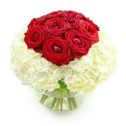 Against a clean, white backdrop, a striking anniversary-style bouquet is captured in full detail, every petal and curve clearly defined. The top of the arrangement is dominated by a rounded cluster of deep red roses, about ten blooms packed together to form a smooth, domed centrepiece. Their petals are thick and velvety, with some roses still tightly cupped and others beginning to unfurl into generous spirals, giving the impression of movement and unfolding emotion. Below this crown of crimson sits a lush, spherical base of white hydrangeas, each head formed from countless delicate florets that combine into a soft, cloud-like cushion. The contrast between the bold, romantic red and the calm, creamy white creates a feeling of balance and harmony, much like the gentle rhythm of life in Grove Park with its quiet streets and riverside walks. The flowers are held in a clear, bowl-shaped glass vase filled partway with fresh water, so the strong, green stems are visible beneath the surface, adding a touch of natural structure to the design. The round shape of the vase mirrors the bouquet's spherical form, giving the entire piece a cohesive, sculpted appearance. With no background distractions, the viewer's attention is drawn entirely to the play of colour, texture, and light on the petals and florets. This arrangement feels like a personal tribute to enduring love, perfect for an anniversary dinner at home near Grove Park station or as a thoughtful gesture delivered to a partner across Chiswick, Brentford, or the surrounding area.