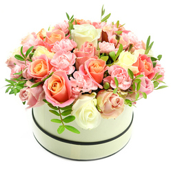 Set on a stark white backdrop, a round cream hatbox with a soft, matte finish holds an abundant, domed cluster of freshly arranged blooms that reads like a small, private garden. Two thin, dark bands-one circling the upper rim, the other near the base-give the hatbox a classic, tailored silhouette that complements rather than competes with the flowers. Dominating the composition are large, velvety roses, their centres a sunlit coral-peach and apricot that gradually blush into delicate pinks and creamy ivory at the outer petals, producing a luminous, layered effect. Nestled between and beneath these are numerous small, ruffled baby-pink carnations; their feathery edges add tactile contrast and soft movement to the arrangement's dense profile. Scattered sparingly are slim sprigs of bright green foliage with narrow leaves, offering a lively counterpoint and the crisp note of freshly cut greenery. The light is gentle and natural, highlighting the petal surfaces' satin sheen and suggesting a subtle, powdery-fruit fragrance that feels comforting and refined. Crafted with the care of a neighbourhood atelier, this bouquet would suit a thoughtful anniversary tribute, a birthday surprise, or a calming bedside arrangement after a walk around Grove Park Nature Reserve or past Baring Road's small shops. Available for local delivery across Grove Park, this composition reflects the kind of considered design you expect from a local florist while remaining effortlessly romantic and quietly luxurious - an enduring statement of warmth and attention.