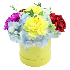 Presented in a round, pastel yellow gift box, this lush, domed arrangement reads like a sunny moment captured in floral form, and is the kind of thoughtful gift Grove Park Florist prepares for customers across Grove Park and surrounding Lewisham streets. At the heart sit two large, ruffled yellow carnations, their lemon tones vibrant against the cool, soft periwinkle hydrangea that forms a generous halo beneath them. Each hydrangea floret shows delicate gradations of blue and near-white, creating a cloud-like, tactile base for the composition. A bold magenta carnation on the left injects a lively punch of colour, balanced on the right by a rich, velvety crimson bloom that brings warmth and contrast. Interspersed greenery provides thin, crisp lines of verdant texture, suggesting freshness as if the stems were cut that morning before a local delivery to a home near Grove Park station. The box is gently decorated with irregular pastel polka dots-light blue, soft pink and pale green, some with tiny white speckles-that echo the bouquet's palette and add a whimsical, celebratory note suited to birthdays, new babies or simple acts of kindness. Light plays softly across the ruffled petals and the smooth paperboard, highlighting the varied textures: the carnations' frilled edges, the hydrangeas' clustered florets and the glossy, narrow leaves. This arrangement is compact yet exuberant, ideal for brightening a small living room, a hospital room in the borough or a desk at a local office.