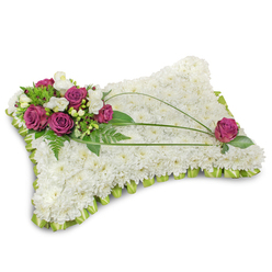 This rectangular floral pillow is composed as a comforting keepsake for funerals or memorials around Grove Park, with the kind of quiet dignity we arrange at Grove Park Florist. The main surface is densely planted with hundreds of pristine white chrysanthemums, their tiny florets packed close enough to read as a single, soft white field - a tactile blanket of purity and calm. A delicate folded ribbon of light lime-green satin trims the perimeter in a pleated scallop, adding a fresh, finished line that gently brightens the overall palette. Nestled in the top-left quadrant is a rich cluster of deep fuchsia roses, their velvety petals opening in measured layers and calmed further by small white freesia or lisianthus accents; together they introduce warmth and gentle fragrance without overpowering the composition. Lush green foliage, including feathery fern fronds, provides depth and contrast, while two long, dark-green bear grass stems arch across the chrysanthemum surface to create graceful movement across the design. A solitary fuchsia rose is set near the opposite corner to mirror the main cluster and complete a balanced visual rhythm. The lighting emphasizes texture - the soft matte of chrysanthemum petals, the satin gleam of ribbon, the velvet of rose petals - and the arrangement reads as a serene, handcrafted tribute. Suitable for delivery to local churches, chapels and homes across Grove Park, Lee and Downham, it conveys sympathy, respect and a peaceful farewell with understated elegance.