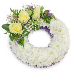 Centered on a pristine white background, this elegant sympathy wreath is a study in soft contrasts and careful craftsmanship, freshly assembled by local hands around Grove Park and suitable for nearby services. The circular form is built from a dense sea of small white spray chrysanthemums whose ruffled petals nestle tightly together to create a uniform, plush surface; the overall effect is soothing and dignified, like a pale, protective cushion. A subtle slate of purple mesh or ribbon peeks through the chrysanthemum layer along both the inner and outer rims, providing a refined outline that deepens the visual field without disturbing the wreath's serenity.

An asymmetric accent on the upper-left curve becomes the wreath's gentle focal point: three creamy yellow roses bloom with layered, velvety petals, their soft colour conveying warmth and remembrance. Intermingled with the roses are tiny clouds of baby's breath and small sprays of lavender-purple statice, offering delicate texture and a restrained pop of colour. The cluster is framed by varied deep-green foliage - broad salal-like leaves and feathery fern fronds - which add contrast and a sense of fresh, natural life. The composition reads as calm and comforting, meant to honour a loved one with restraint and grace. At Grove Park Florist we often arrange similar tributes for local services and wakes, where the clean palette of white, soft yellow, verdant green and subtle purple offers a respectful message of peace and lasting remembrance.