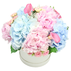 In the quiet light of Grove Park, this hatbox-stowed bouquet glows with a memory of dawn: soft pinks meeting powder blues in a calm, painterly harmony. The hydrangea clusters are pillowy and expansive, while the peonies carry a velvet sheen that seems to hold a touch of light within each petal. Sprigs of cream and blush spray roses weave through the arrangement, their scent faint but sweet, adding a gentle romantic note. Two tall calla lilies rise above the rest in a deeper rose shade, their trumpet shapes lending sculptural drama-one anchored near the top-left, the other peering from the bottom-right. Delicate greenery-hydrangea leaves and the silvery whisper of dusty miller-frames the dome and provides depth against a crisp white background. The bouquet exudes calm, hope, and quiet celebration, ideal for birthdays, welcoming a new baby, or simply brightening a home with grace. Crafted with local care by Grove Park Florist, this design is ready for same-day delivery across Grove Park and surrounding streets, a poised centerpiece for a mantel, table, or entryway that invites compliments and warmth.