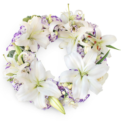 A full, circular sympathy wreath is displayed centrally on a white background, its composed beauty created through a calm blend of white lilies and soft purple accents. Large Oriental lilies form the main structure, each bloom carefully placed so the petals overlap in a gentle, cloud-like ring. Some lilies are completely open, showing pale green centres and tall stamens dusted with warm brown pollen, while others remain in bud or are just starting to unfurl, adding life and movement around the circle. Between these striking flowers, Lisianthus blossoms appear with their distinctive ruffled petals, white at the base and delicately edged with shades of lilac and light violet. This subtle wash of colour introduces a soft contrast, reminiscent of the pastel skies often seen above Grove Park and nearby Chiswick during quiet evenings. Pockets of deep green foliage and a few silvery, eucalyptus-like sprigs weave discreetly among the blooms, offering structural depth without distracting from the lilies' purity. A scattering of smaller, creamy buds contributes to the wreath's plush texture, ensuring the ring looks full and complete from every angle. The overall composition radiates calm and dignity, an ideal expression of condolence for funerals, wakes, or memorial services along the Thames corridor. Though the background is stark and simple, the craftsmanship is evident in the precise spacing, harmonious colour balance, and flowing rhythm of the flowers. This is a wreath that speaks softly of peace, remembrance, and love that endures, like a tranquil walk along the river path from Grove Park towards Strand-on-the-Green.