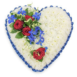 The image shows a generous heart-shaped sympathy tribute, photographed from above as it rests against a plain white background. At its core, the heart is entirely carpeted with snow-white chrysanthemums, each bloom neatly placed so their petals overlap and form a plush, even surface. This dense cushion of white flowers feels tranquil and soothing, like a quiet pause beside the trees of Grove Park. Encircling the heart, a royal blue satin ribbon is pleated with care, its gentle ruffles catching the light in soft highlights that emphasise the outline and lend a polished, formal touch. On the upper left side of the heart, a vibrant floral spray provides a focal point. Three deep red roses, fully open and velvety, nestle together among glossy dark green leaves, their petals rich with colour and emotion. Threaded between them, electric blue dendrobium orchids arc gracefully downward, each star-shaped bloom shimmering with layered shades of blue and purple. Slender, curling green tendrils emerge from the cluster, softening the edges and giving a sense of natural movement. Towards the lower right curve, a single red rose is placed alone atop the white chrysanthemums, gently echoing the main cluster and adding a poignant note, as if honouring one cherished person. The thoughtful balance of colours-pure white, passionate red, and calming blue-creates a design that feels both dignified and deeply personal. It is easy to picture this tribute delivered by a local Grove Park florist to a family home, church, or crematorium, offering a quiet centrepiece of comfort at a time of farewell.