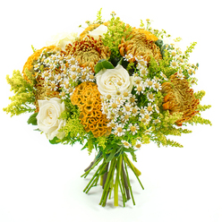 Captured against a crisp, white backdrop, this hand-tied bouquet feels like autumn gathered into two hands by an experienced Grove Park florist and then carefully refined. The arrangement curves into a generous dome, anchored by towering chrysanthemums in tones of golden yellow, tangerine, and burnished copper, their slender, spiky petals forming dense, textured blooms that almost seem to glow from within. Nestled among this warmth, creamy white roses provide pockets of calm, their petals smooth and velvety, spiralling inward in classic, timeless fashion. Adding a distinctive touch, several yellow-orange cockscomb celosia blooms thread through the design, their velvety, brain-like folds catching the light along each ridge and introducing a wonderfully tactile, sculptural element. Throughout the bouquet, tiny white daisy-style matricaria with bright yellow centres pop up like little lanterns, softening the arrangement and lending it an effortlessly natural charm reminiscent of riverbank meadows near Grove Park. Surrounding the main flowers, airy sprays of lime-green solidago and an assortment of lush greenery fan outward, creating a halo of vivid green that frames the warmer tones at the heart of the design. The foliage adds depth and movement, its feathery textures and varied leaf shapes suggesting a fresh, just-picked feel while still clearly shaped by a professional hand. The even, bright lighting shows every nuance of colour and texture, from the velvety celosia to the crisp daisy petals, while the white background keeps the focus firmly on the bouquet. Overall, the composition feels warm, uplifting, and quietly celebratory-perfect for lighting up a Grove Park living room, sending an autumn 'thinking of you' message, or serving as a welcoming accent in a cosy local café.
