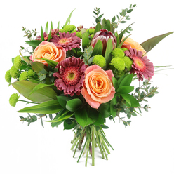 Set against a crisp white backdrop, this hand-tied bouquet feels like a burst of warm evening light captured in flowers, the kind of arrangement you might see carried along Grove Park's tree-lined streets on the way to a celebration. Several large roses dominate the centre, their petals unfolding in velvety layers of peach, apricot and soft coral, each bloom showing subtle gradations of colour that suggest ripening fruit and gentle warmth. Nestled closely beside them, Gerbera daisies in rich fuchsia, deep magenta and burgundy create a lively contrast, their fine, radiating petals and slightly raised, textured centres adding structure and a touch of drama. Slightly offset within the design, a striking King Protea draws the eye, its sturdy, artichoke-shaped head composed of tapered bracts in maroon, rusty rose and dusty pink tones, giving the bouquet a contemporary, almost sculptural edge. Between the larger flowers, clusters of lime-green Santini button chrysanthemums dot the arrangement like tiny fireworks, their perfectly rounded, cushiony heads brightening the palette and bringing a playful, tactile quality. The bouquet is wrapped in an embrace of mixed foliage: wide, glossy leaves anchor the composition, slender, sword-like greens add height and direction, and sprigs of eucalyptus with their bluish, round leaves soften the outline and hint at a cool, refreshing scent. All the stems are carefully gathered and tied, their cut ends aligned in a clean, professional finish that speaks to expert floristry. This radiant design, ideal for birthdays, congratulations or heartfelt thank-yous, feels equally at home gracing a dining table near Grove Park station or a sunlit living room overlooking the Thames.