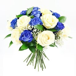 A domed bouquet of roses sits centre stage against a clean white backdrop, its blend of colours and textures evoking quiet comfort, like a walk through Grove Park's tree-lined streets. The arrangement features an even mix of deep blue and creamy ivory roses, each bloom turned outward so the viewer can almost feel the velvet-like petals. The blue roses are a saturated sapphire, rich and striking, with multiple layers of petals that fold and twist towards the heart of the flower, creating pools of shadow and light. The cream roses, by contrast, open in softer spirals, their paler tones catching the light and lending a gentle calm to the overall design, as if inviting a moment of stillness. Threaded among these larger blooms are airy sprigs of baby's breath, their tiny, snow-like blossoms adding a cloud-soft texture that lessens the intensity of the colour contrast. Around the outer rim, deep green foliage emerges from beneath the roses, offering structure and a sense of freshness, much like the lush greenery that characterises the local area. Below the generous crown of flowers, the straight stems are bound together in a neat, hand-tied bundle, signalling that this is a freshly made bouquet, ready for same-day delivery to homes, chapels, or memorial gatherings in and around Grove Park. The white background and soft, even lighting create a nearly shadowless scene, putting every petal and leaf into clear focus. Crafted with balance and care, this bouquet communicates sympathy and support without words, offering a dignified, elegant way to honour a life and share condolences.
