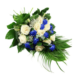 This image shows an elegant cascading funeral spray, its blue and white colour palette standing out crisply against a plain white background, much like a calm moment of reflection amid the bustle of Grove Park station. The arrangement forms a classic teardrop or sheaf shape, anchored with fullness at the top left and tapering gracefully to the lower right in a gentle, flowing line. At the centre sit numerous fully opened roses, their petals soft and layered. Deep sapphire blue roses, saturated and dramatic, are carefully blended with ivory and creamy white roses so that the colours alternate naturally, avoiding any harsh division and instead creating a calm visual rhythm. The blue blooms lend depth and a sense of solemn respect, while the white roses embody purity, remembrance, and peace. Wisps of white baby's breath are scattered throughout the design, their tiny blossoms forming delicate clouds between the larger blooms, adding both lightness and volume. Surrounding this central mass of roses, a generous array of foliage frames and shapes the spray: broad, dark green leaves form a sturdy backdrop; bright, feathery ferns lift and soften the top; and slender palm fronds trail elegantly from the bottom right, reinforcing the downward cascade. Subtle bluish-green, eucalyptus-like sprigs peek between flowers, bringing in cooler tones and additional texture. Decorative bands of striped green-and-cream foliage or ribbon are artfully looped and woven into the base of the design, giving the tribute a refined, contemporary finish. Crafted with the care and precision of a local Grove Park florist, the piece feels perfectly suited to accompany a coffin, rest by an altar, or be placed gently at a graveside as an expression of love, sympathy, and enduring remembrance.
