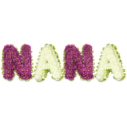 A lovingly arranged floral spelling of NANA sits in three-dimensional form against a pristine white backdrop, alternating between deep magenta-purple and soft creamy-white letters to create a steady, comforting rhythm. The purple characters are built from tightly clustered chrysanthemum-like blooms - rich, velvety petals with tiny yellow eyes that catch the light and lend a quiet sparkle - while the alternating A letters are composed of delicate, cream-to-ivory chrysanthemums that soften the composition with their cool, gentle presence. Each letter is meticulously edged with a bright lime-green border, which reads as pleated ribbon or closely packed foliage; this verdant outline knits the letters together and introduces a fresh, uplifting note, a whisper of new leaves in spring. The dense sculpting of small flower heads gives each letter a plush, tactile surface and the overall piece preserves a respectful, solemn dignity suited to memorials, funerals, or wakes. Subtle morning light seems to graze the petals, carrying a faint, clean scent of chrysanthemum and the faint herbaceous scent of green trim - a sensory pause that often accompanies quiet reflection. Locally, this kind of tribute is familiar to families in Grove Park and nearby Elmstead Woods, chosen for graveside services at local cemeteries or as a centrepiece at a wake near Chinbrook Meadows. It speaks of careful craft, steady hands, and a wish to honour a beloved grandmother with a clear, personal message.