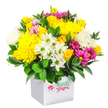 A cheerful, densely packed bouquet of mixed flowers sits securely in a crisp white square box, positioned against a pure white background that highlights its vivid colours and rounded form. The centre of the arrangement glows with sunny yellow chrysanthemums and clusters of small yellow spray roses, whose layered petals create a rich, velvety texture and an immediate feeling of warmth. Punctuating this golden base are bright white daisylike blooms with green button centres, along with fuller white chrysanthemums whose fine, feathery petals add softness and a sense of airy volume. Sweeping through the design are deep fuchsia and magenta chrysanthemums, some with gentle touches of paler pink on their outer petals, which bring depth and a modern splash of drama to the otherwise classic mix of yellow and white. Around and beneath the flowers, glossy dark green foliage curves outward, giving the bouquet a well-rounded silhouette and amplifying the brightness of the blossoms above. The flowers are arranged in a minimalist cube-shaped white gift box, its smooth sides and sharp edges providing a clean, contemporary contrast to the organic shapes of the petals and leaves. On the front of the box, a small red rose motif and flowing green-and-red script hint at a local florist's signature touch rather than a mass-produced piece. The overall scene suggests an inviting, joyful gift that could easily be destined for a doorstep in Grove Park, perhaps near the leafy streets leading to Chiswick or along the quiet residential roads off Grove Park Road, perfect for birthdays, thank-you surprises, or simply sending a burst of colour to brighten someone's day.